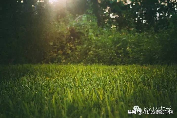 防眩光的正确调法技巧,简单四招提升短片氛围感