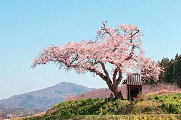 十句经典的情诗,10首绝美情诗