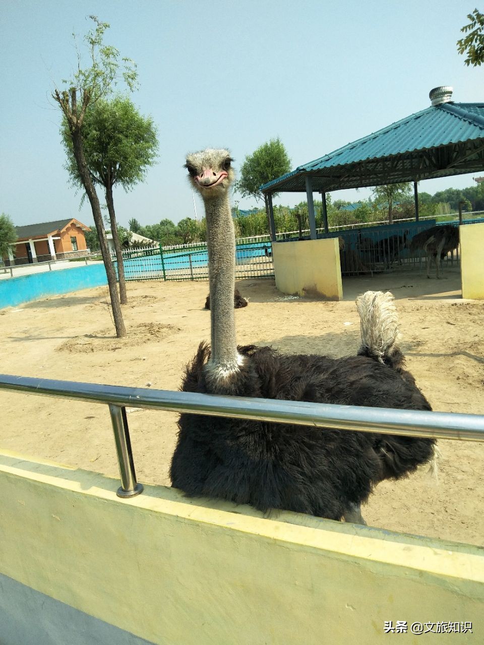 山东德州动植物园旅游区,德州市动植物园视频