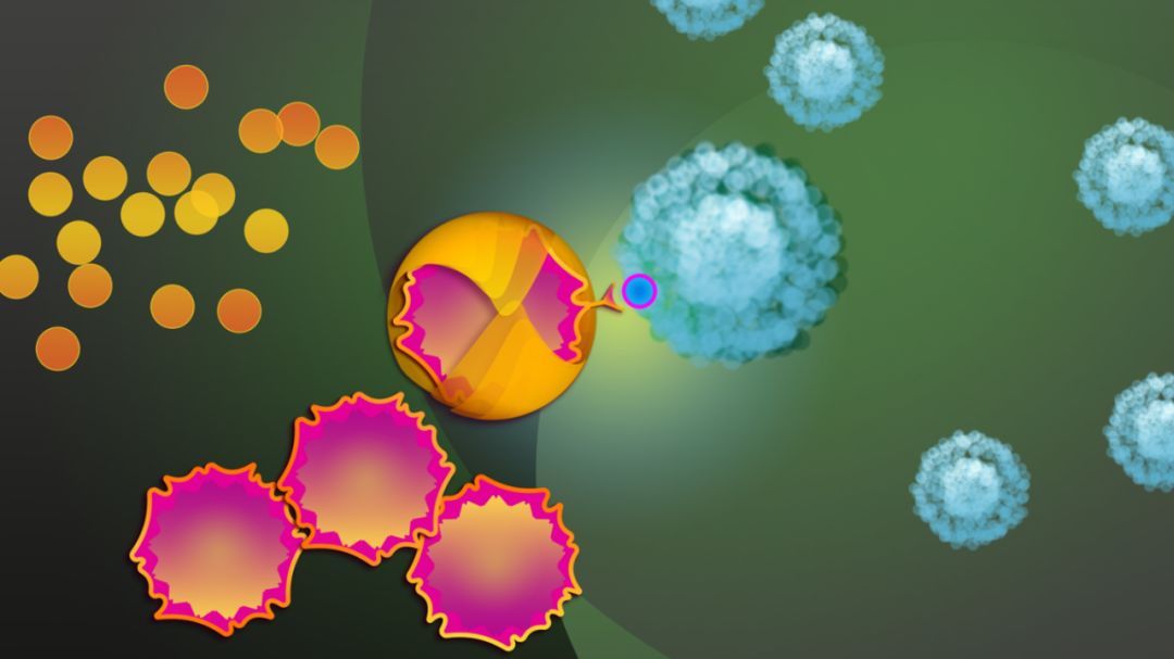 nkt免疫细胞治疗癌症,抗癌细胞疗法