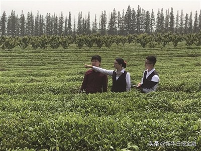 中国银行六稳六保工作,建设银行六稳六保工作情况汇报