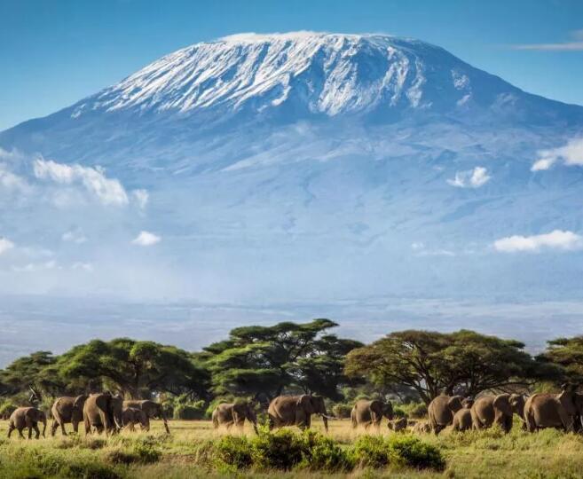 大陆免签国家2019,中国对哪些国家单方面免签