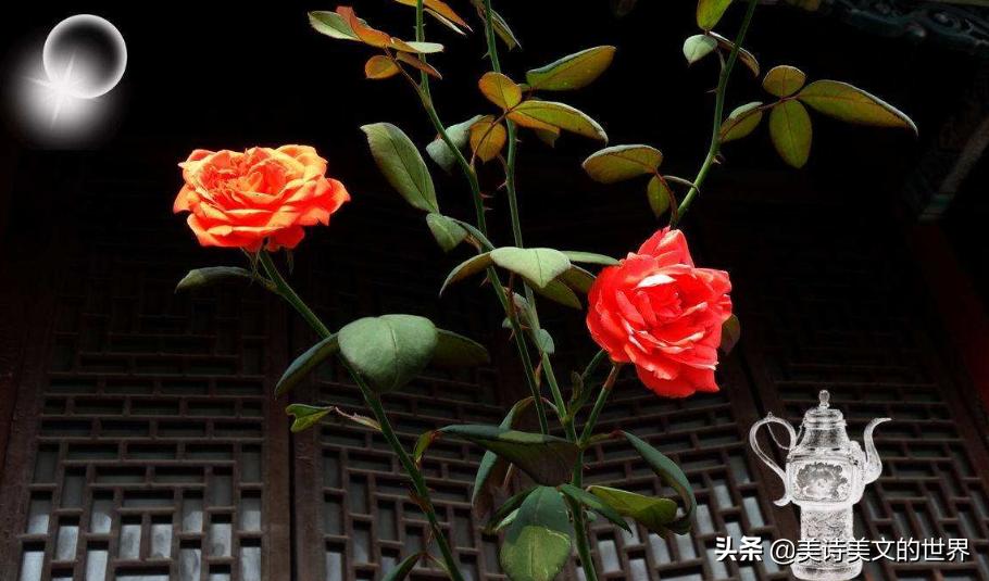 康震评价李白诗词大会,康震诗词大会讲李白情场失意