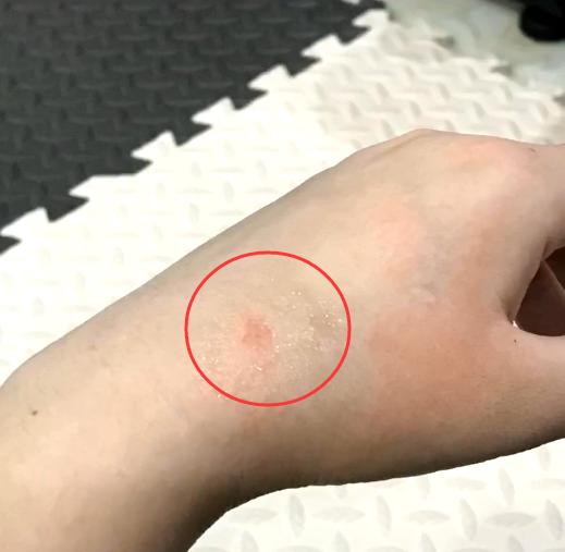 带猫去体检,带猫去检查说脑子有病