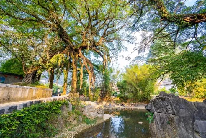 过年就近去哪里玩,新年去广西哪里玩