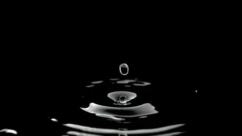 交大杨鸣股权激励视频,股书创始人