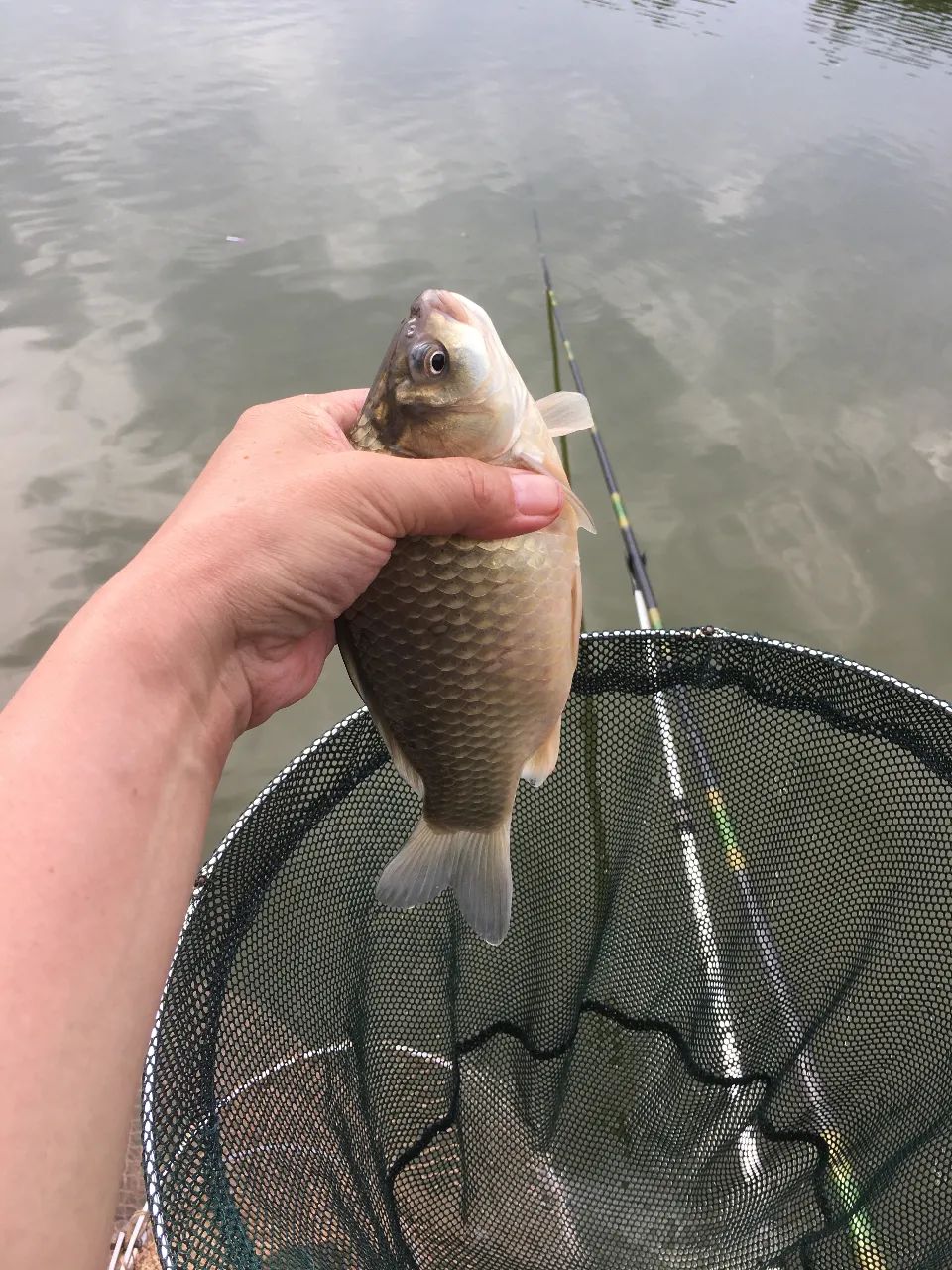 走进北京蟹岛垂钓园,北京蟹岛垂钓园介绍