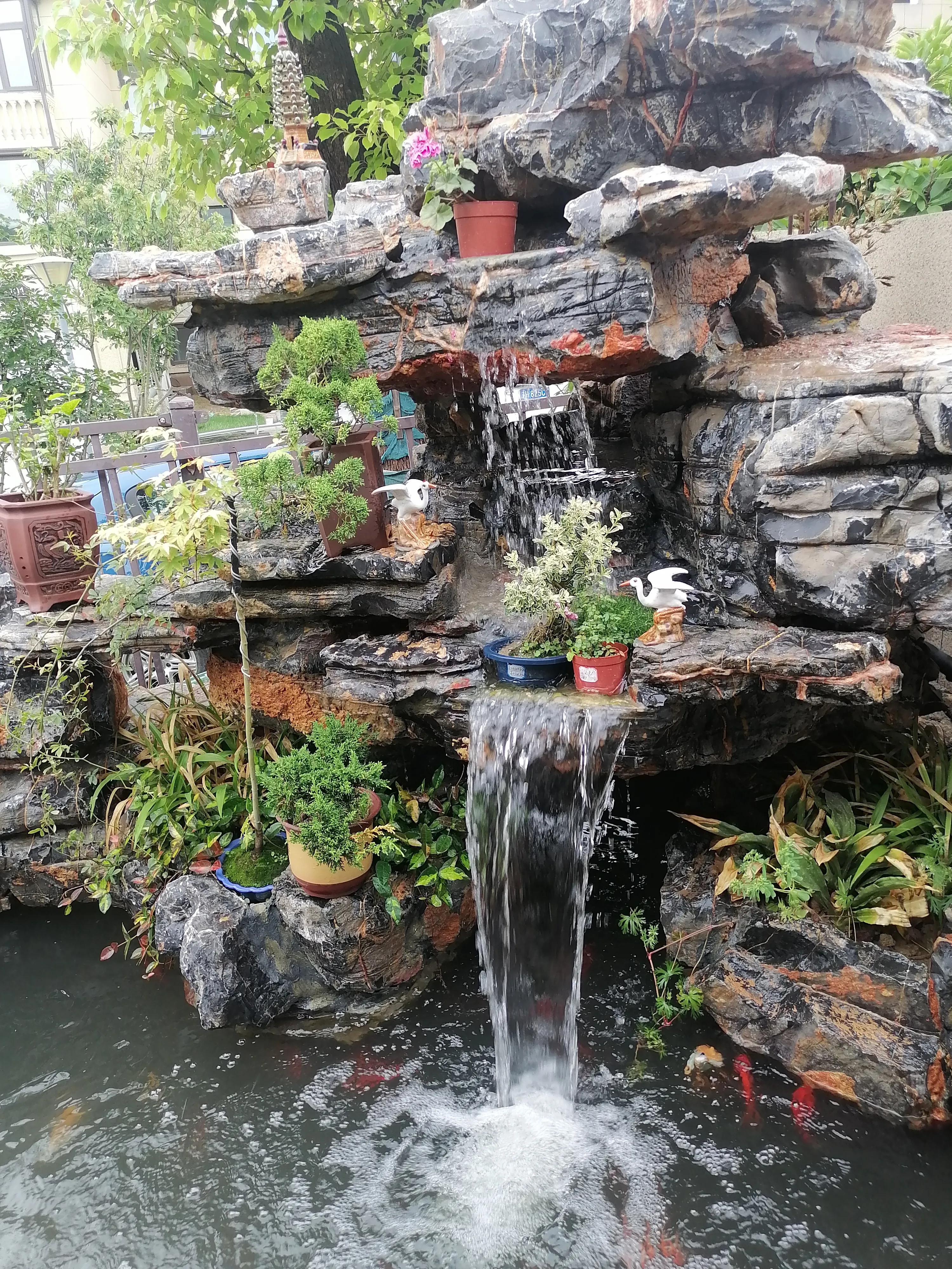 松树公园历险记,小松子历险记