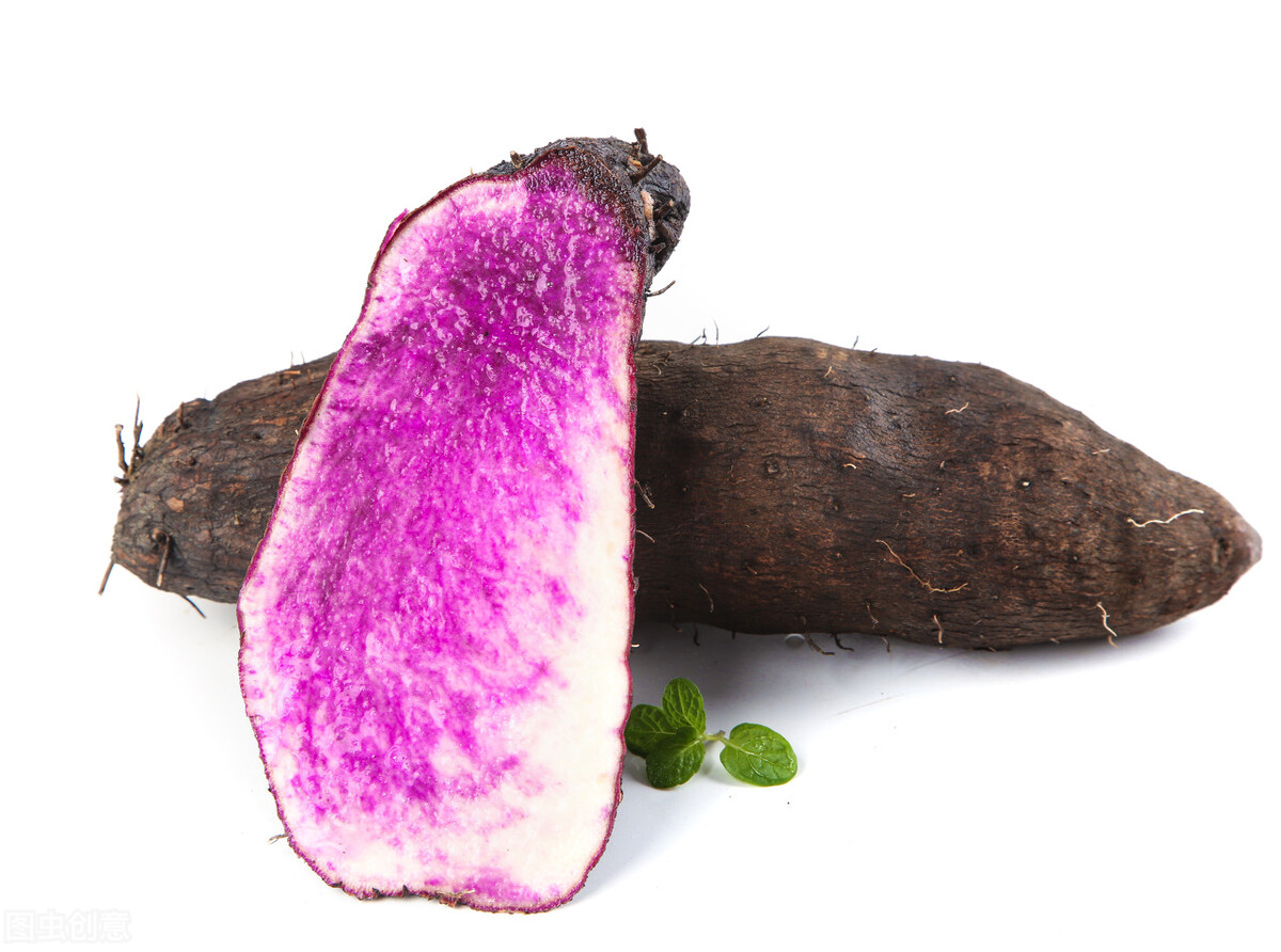 2023农村种植致富项目有哪些,农村致富种植项目