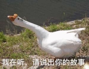 驾校老板被抓,驾校老板被抓了怎么办啊