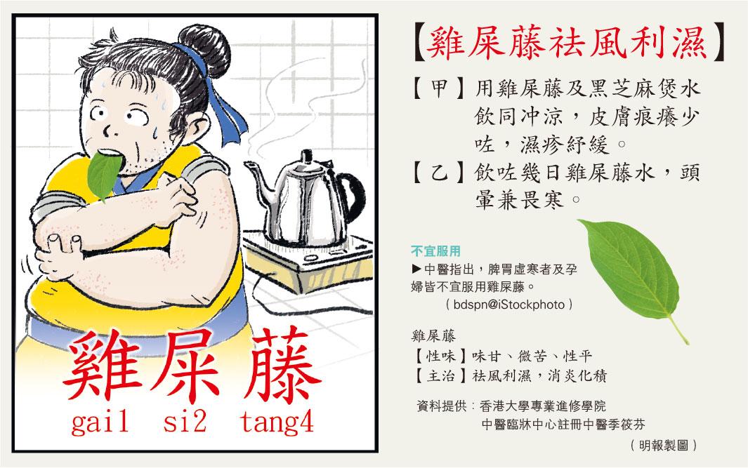 鸡矢藤治各种疼痛,鸡矢藤止痛效果好吗