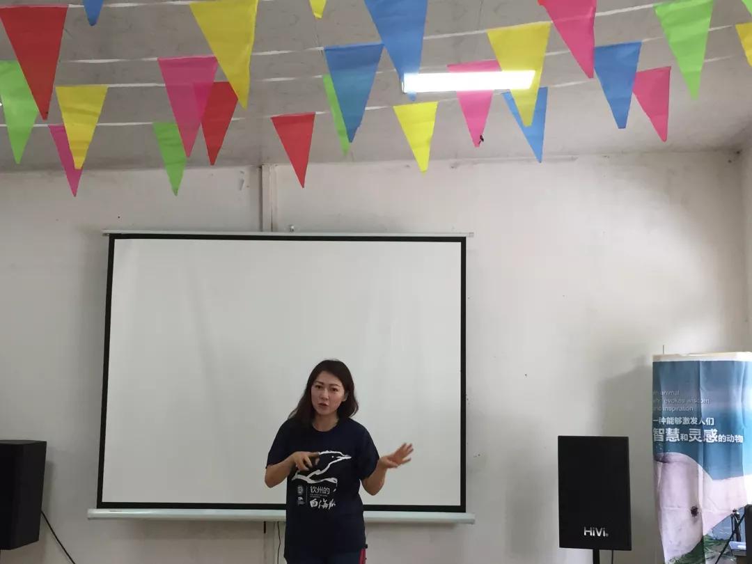 告别2019，迎来2020，在三娘湾与白海豚一起跨年