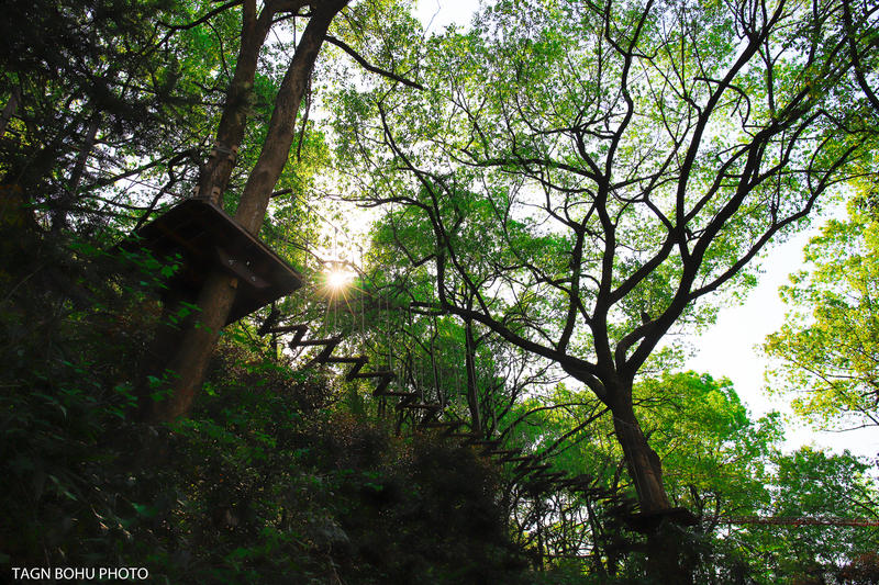 衢州常山春日旅游攻略,常山小众景点