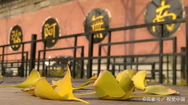 李敖为什么被囚禁5年,李敖作品被禁