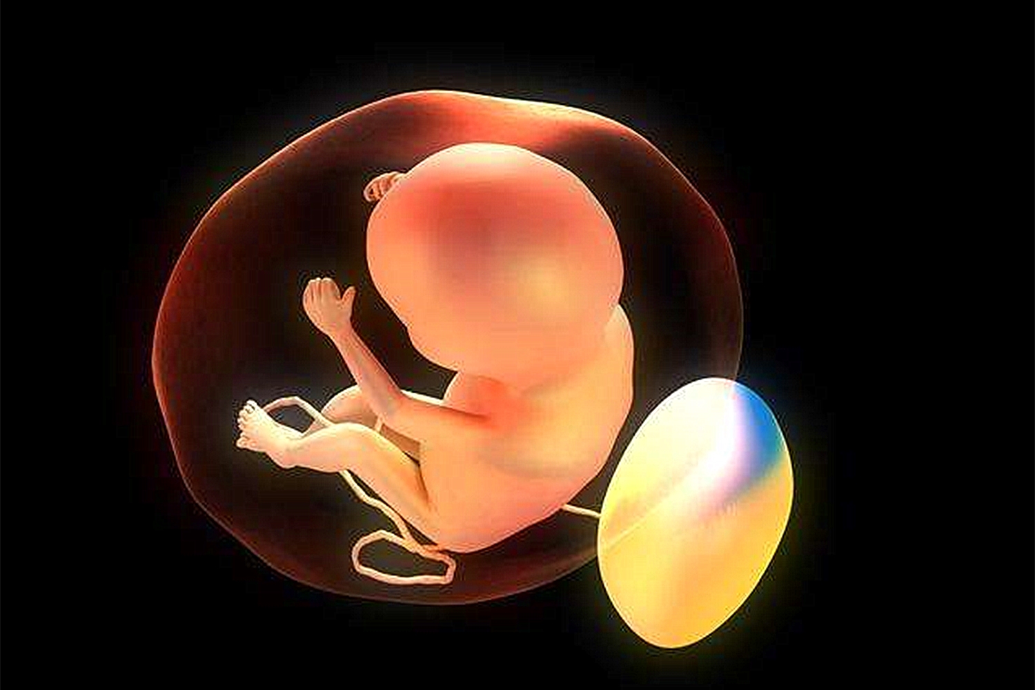 孕妈误将肚子跳动当胎动，其实是胎儿“打嗝”，在为出生做准备