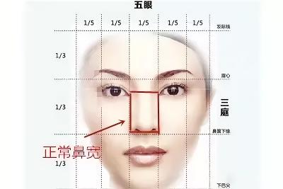 鼻头缩小鼻翼缩小前后对比图,鼻头缩小跟缩小鼻翼有区别吗