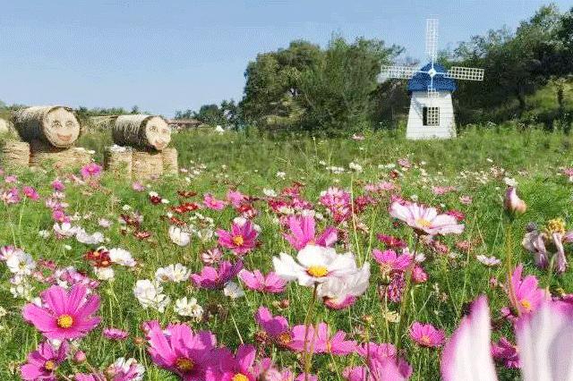 蔚县十大新型创业项目加盟,蔚县投资