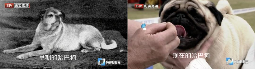 你有什么资格说爱我吗,你有什么资格说爱我完整版