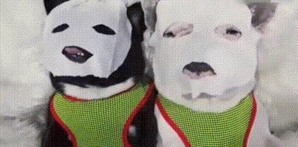 你真正了解面膜的作用吗,各种功效的面膜到底有没有用