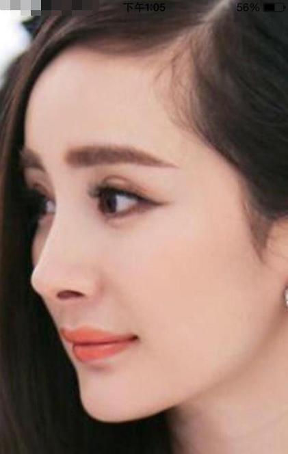 鹰钩鼻很丑吗,鹰钩鼻丑陋