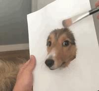 美术生！你们画画就好好画，干嘛还骗人！