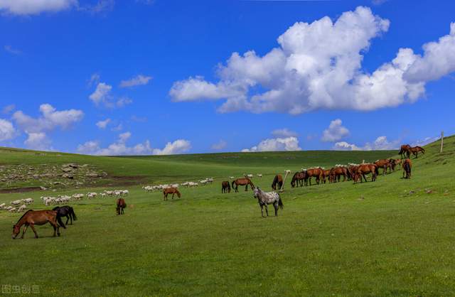 夏日来内蒙古寻觅一处清凉 (去内蒙古感受大草原的浪漫)