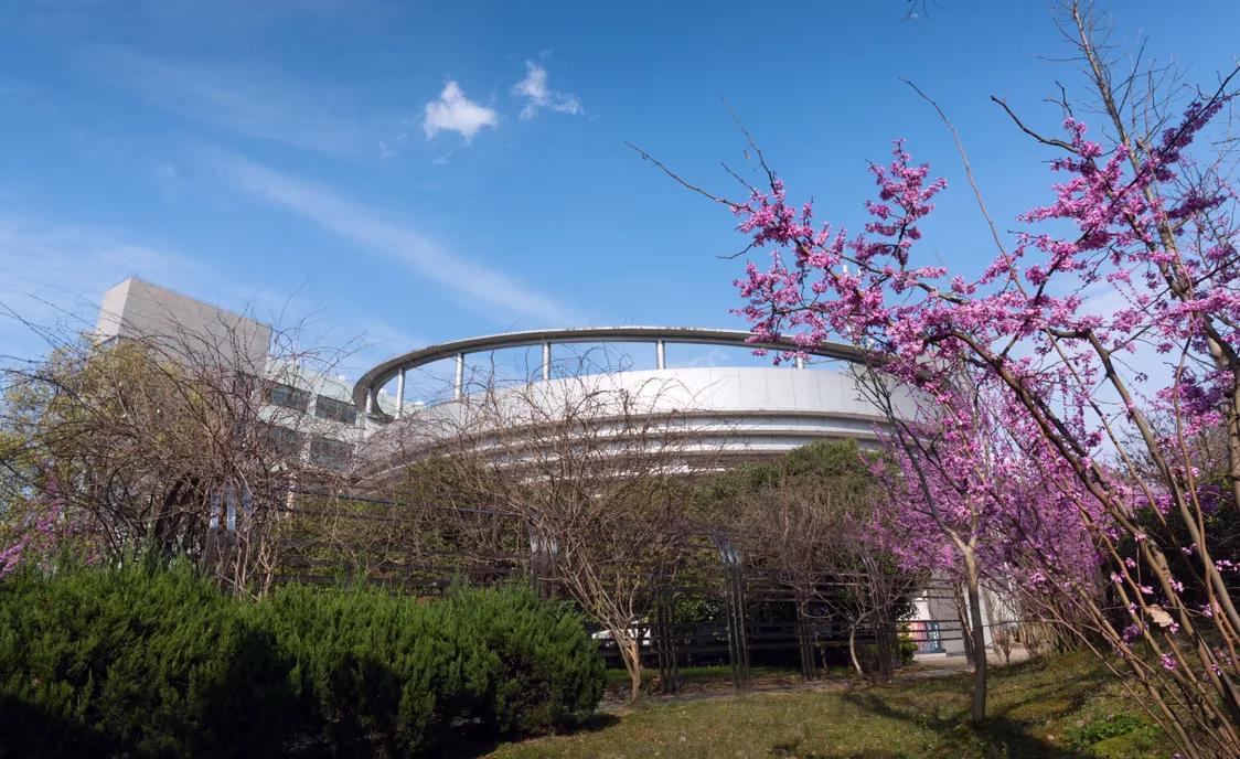 春日丽院，与你一起沐浴阳光