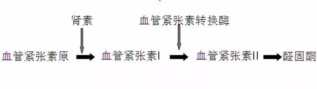 五大降压药的代表药物,降压药十大品种排名