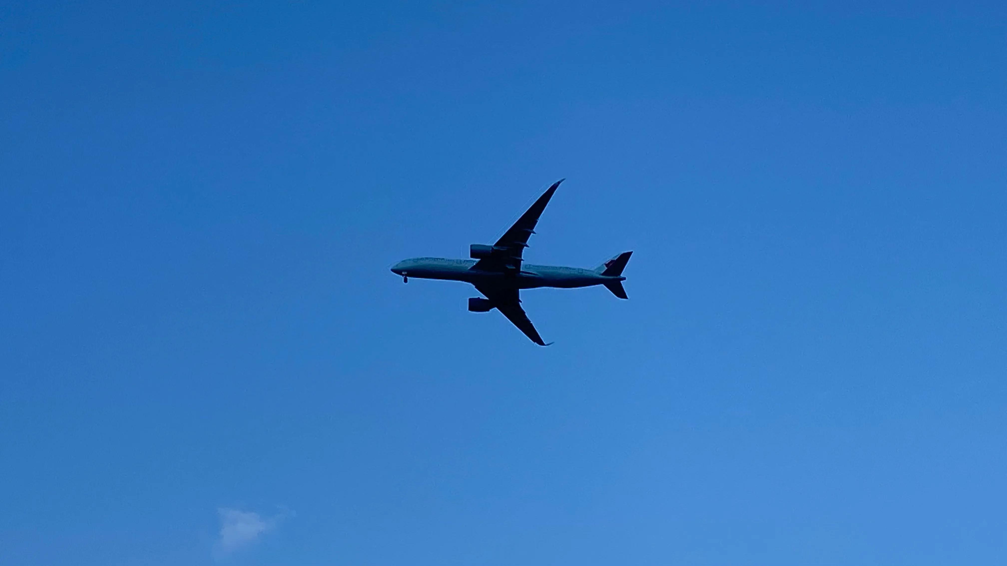 上海看美丽的大海,上海哪里有海滩看大海免费