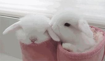 耳朵突然发红发烫是什么寓意,耳朵发热是有人想你还是骂你