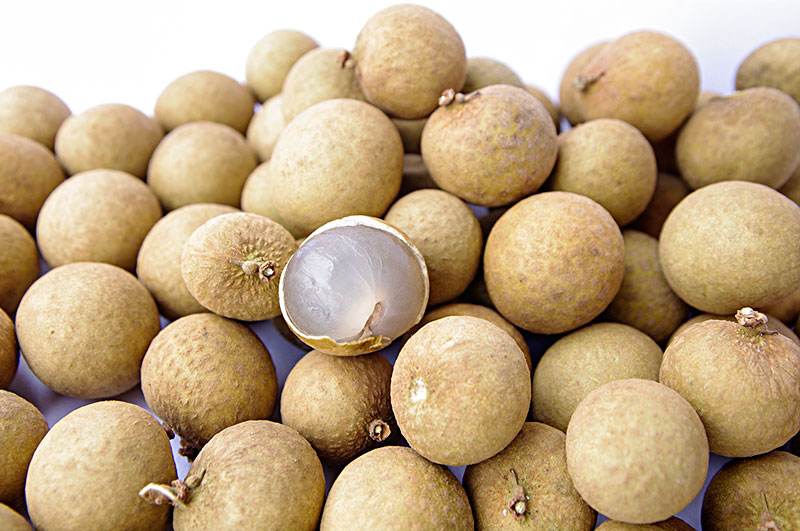 万能的龙眼！换完装甲车换潜艇只要泰国看上的就是一个字“换”