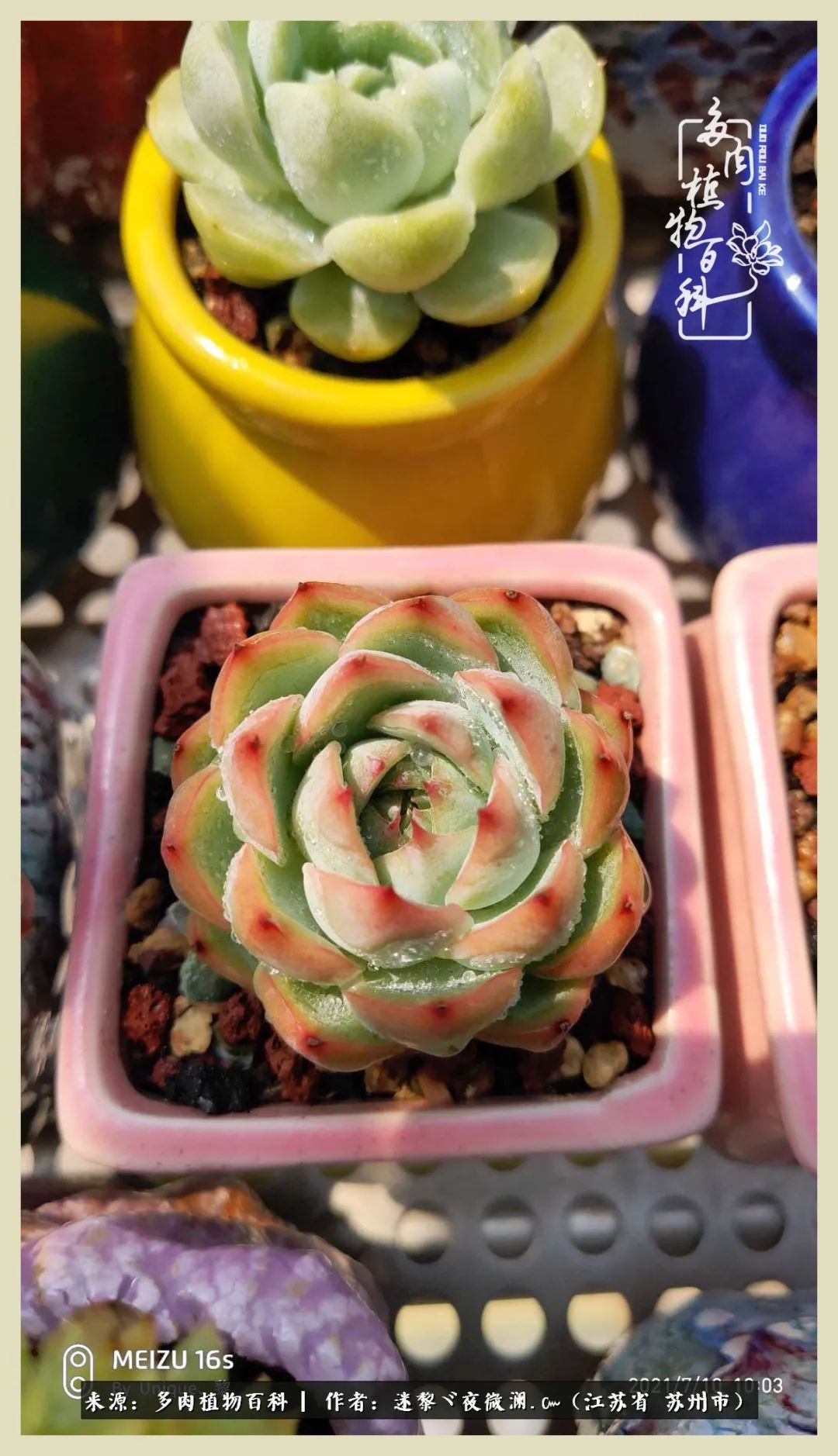 秋尽冬来岁月不居时节如流,岁月不居时节如流水