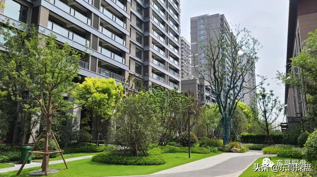 不输北龙湖顶豪,白沙已交付社区的NO.1到底长什么样?