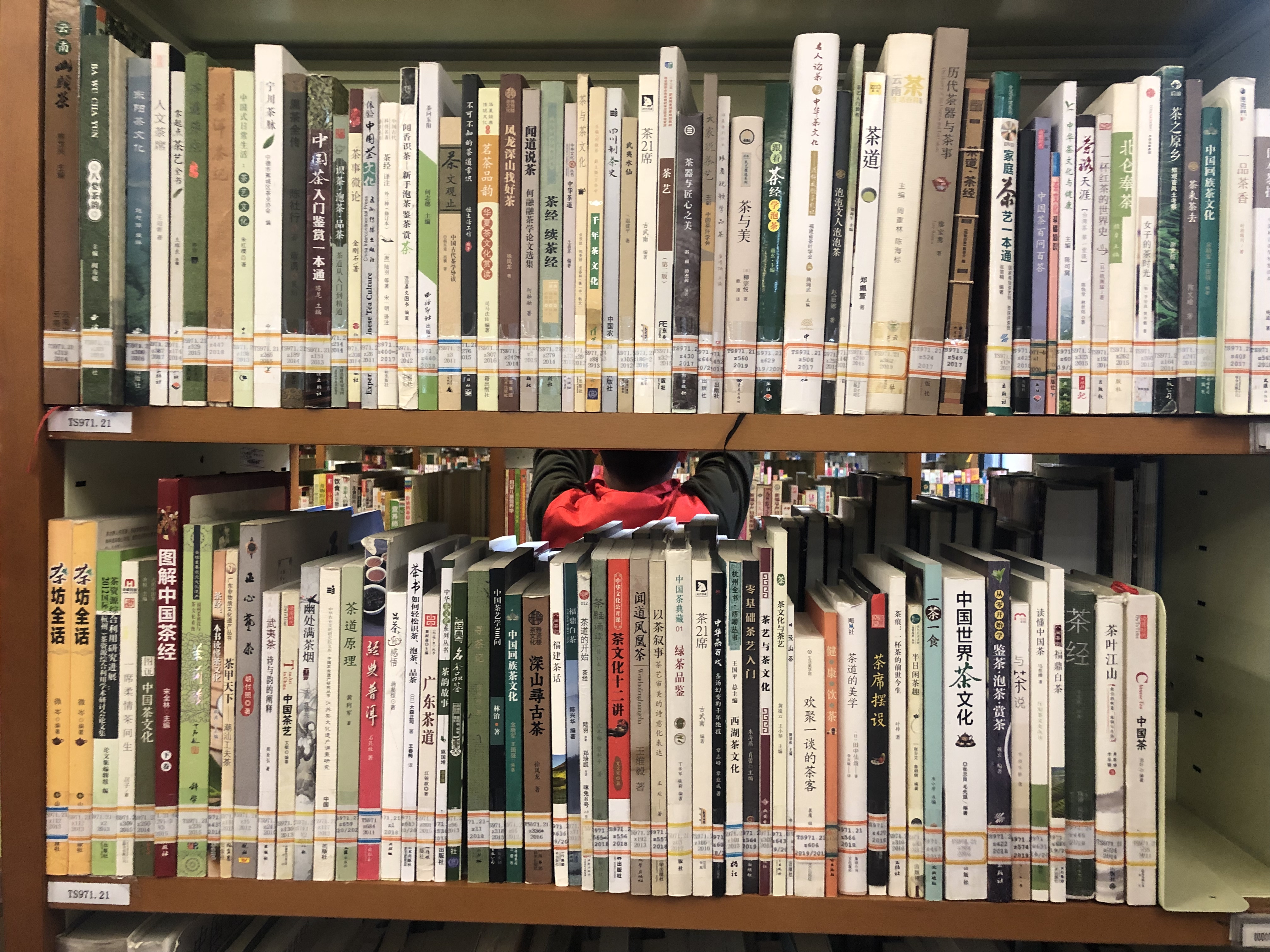 西湖龙井春茶季,龙井茶西湖明前春茶