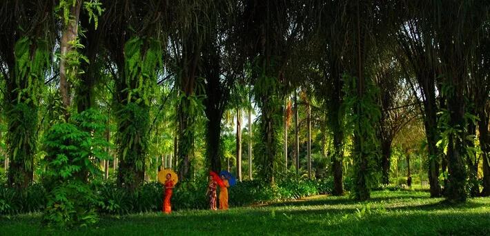 云南适合深秋游玩的地方,云南的秋天适合去哪些景点