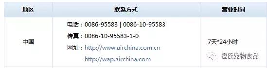 专业宠物托运飞机怎么带小狗,宠物托运需要宠物满足什么条件