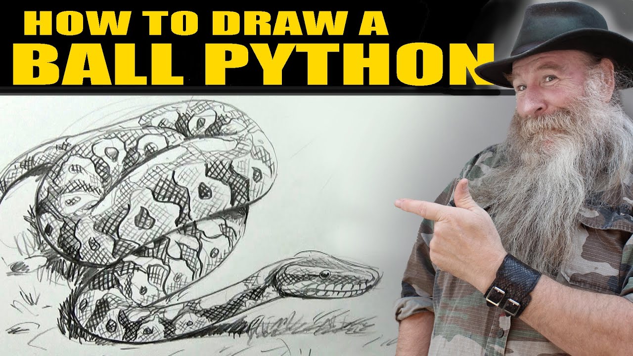 世界上真的存在巨蟒蛇吗,比500米巨蟒还厉害的蛇