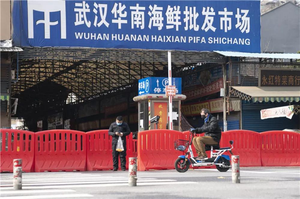 武汉日记简介,武汉日记封面