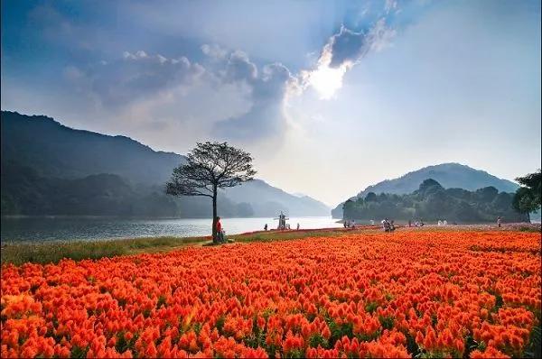 我是真的热啊,从化的天气有多冷