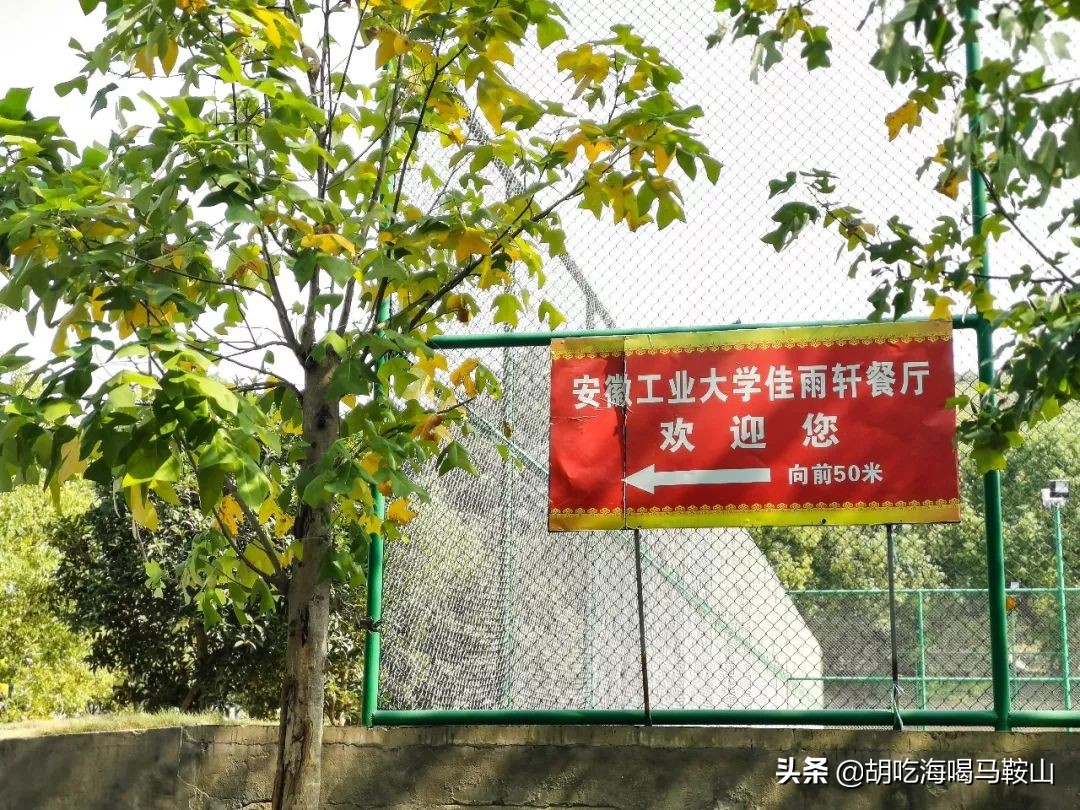 好吃的高逼格大学食堂,超好吃大学食堂