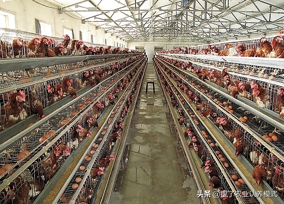 2019年农村创业新商机,农村创业商机排行榜最新