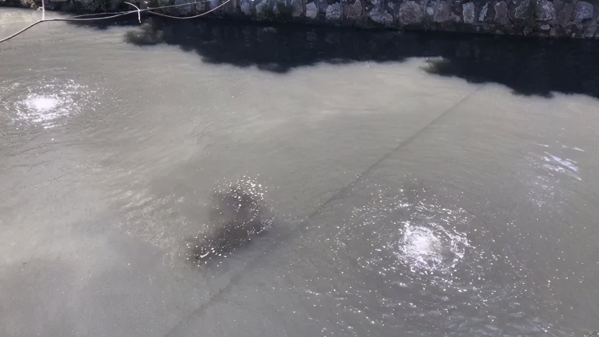 省级督察！常州这些地方脏乱差，涉遥观横山桥横林湖塘牛塘前黄洛阳雪堰湟里