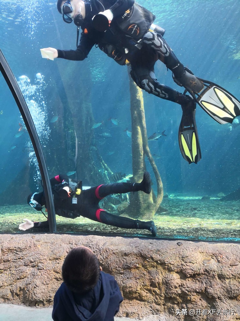 说走就走的旅行攻略省钱一天,说走就走的旅行攻略大全