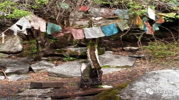 【走*藏西**】具有药用功效的波密温泉，有机会的话可去泡泡……