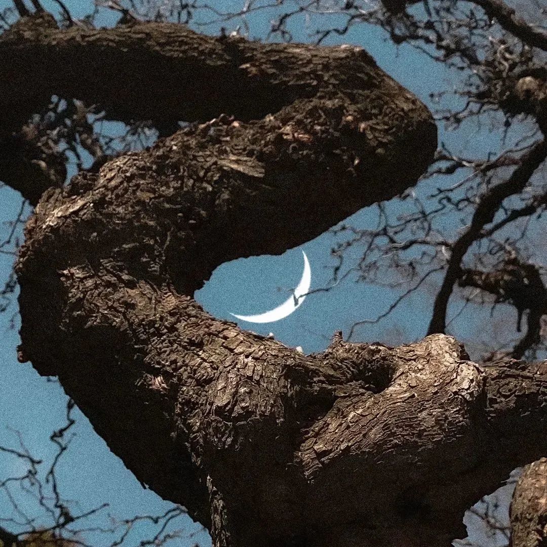 手机摄影拍摄最新热门作品,手机拍摄精彩作品