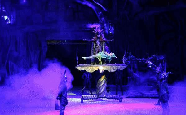 南通森林野生动物世界好玩吗,南通森林野生动物园门票团购