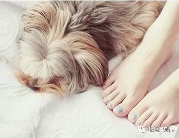 我是太难了的图片,我是太难了图片大全