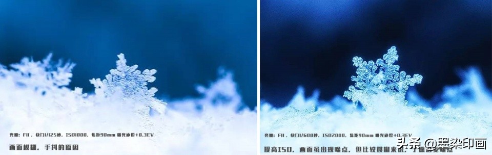 拍摄参数与技巧完全剖析微距摄影,微距拍摄技巧图片大全