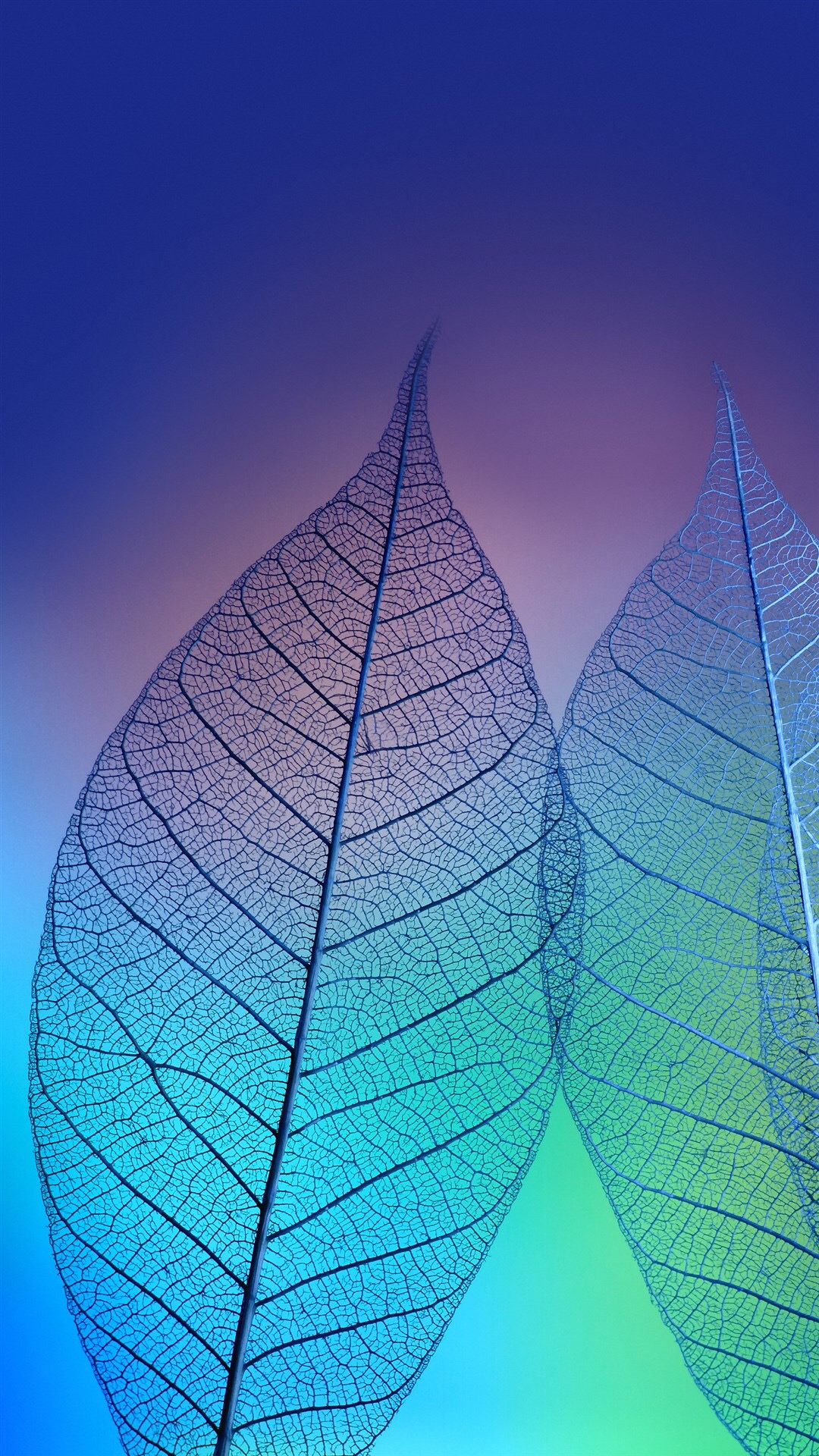 超清商务人士专用壁纸图片大全,商务质感手机壁纸超清全面屏