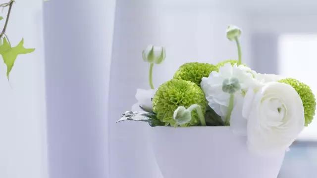 语文文学常识大全最全,语文文学常识总汇大全